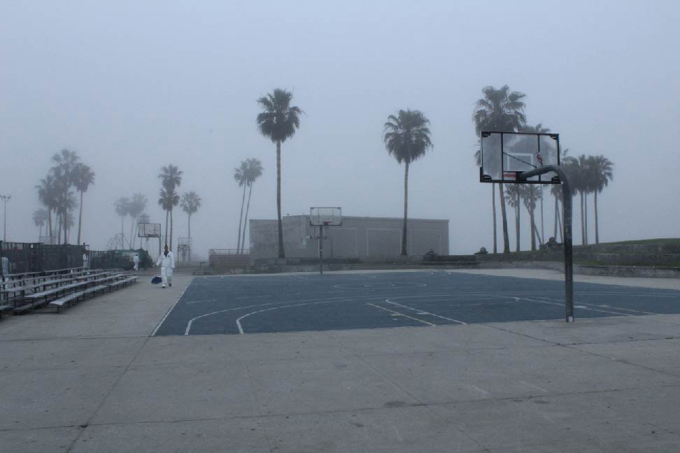 early morning walk before the Venice Beach crowd forms